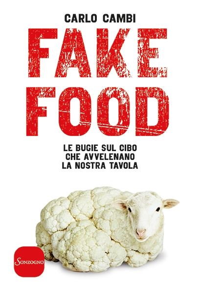 Fake food 