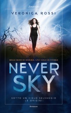 Never Sky 